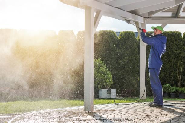 Professional Pressure Washing Services in Conesus Lake, NY